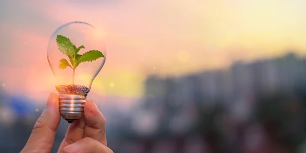 light bulb